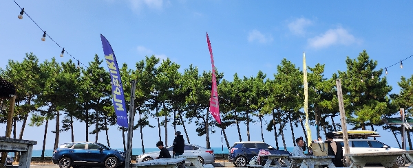 On the 판때기 in Summer 대표이미지